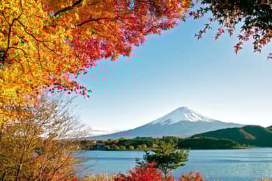 富士山と箱根のプライベート日帰りツアー（東京発） – カスタムプラン