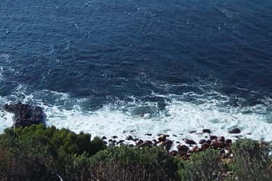 Excursão ao Cabo das Agulhas, o extremo sul do continente africano
