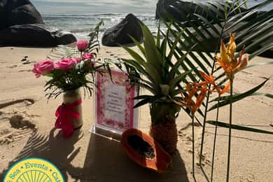 Romantic Picnic by the seashore of Seychelles.