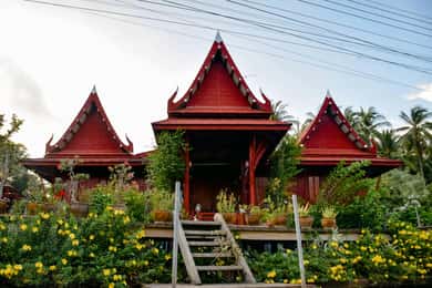 Dragon Temple & Paddle Boat Dinner at Damnoen Saduak