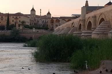 Córdoba: Tour of the three cultures to see the city in a day