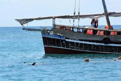 Mombasa: Snorkeling, Dolphin watching, seafood lunch.