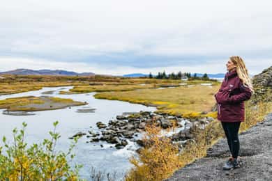 Reykjavik: Gyllene cirkeln, Kerid och Fridheimar Minibuss Tour