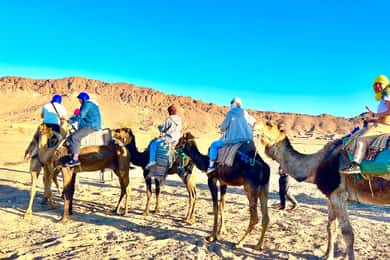 From Marrakech: 2 Days Zagora Desert Safari with Food & Camp