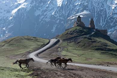Tbilisi: Kazbegi Full-Day Group Tour
