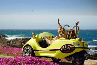 Monterey: 2-Hour GPS Guided Tour