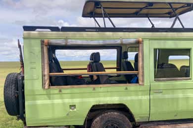 Nairobi: Game drive, elephant Orphanage & giraffe centre.