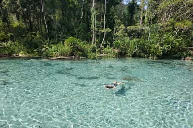 Fra Khao Lak/Khao Sok: Cheow Lan-søen og Emerald Pool-tur