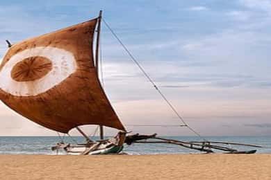 Negombo Stad Hoogtepunten met traditionele catamarantocht