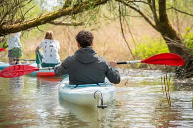 Biesbosch Alquiler de Kayak con Mapa de la Ruta y Chaleco Salvavidas