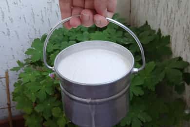 Sofia: Probier bulgarischen Joghurt Kiselo Mlyako in einem Familienhaus