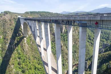 PLETTENBERG BAY: Bloukrans Bridge Skywalk Tour and HangOut