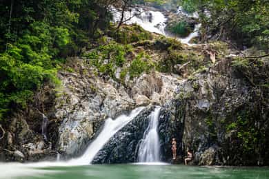 Daintree Rainforest: Waterfall Walk, Swim & Crocodile Cruise