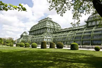 Botanic Garden Berlin Entry Ticket with Audio Guide