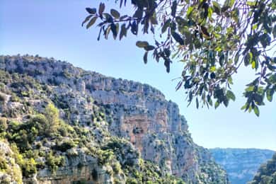 Gorges du Verdon: lavenders, canyon boat picnic & villages