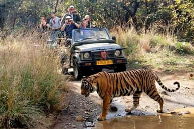 Tour de 7 días por el Triángulo de Oro con Safari al Tigre en Ranthambore