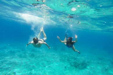 Cozumel: Snorkel Tour to El Cielo, Palancar & Colombia Reef
