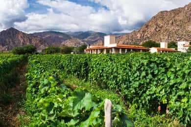 4-Day Tour of Salta Cafayate and Humahuaca