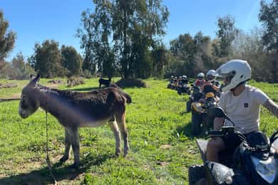 Málaga: Toer 2 uur Solo Quad-avontuur op alle terreinen