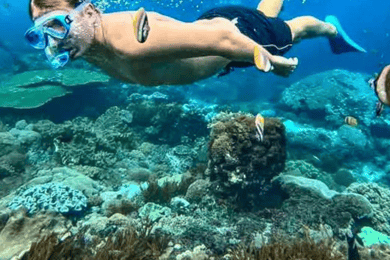 Muscat: tour di snorkeling di Daymaniat con servizio di prelievo e rientro