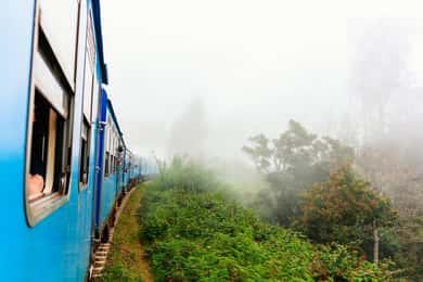 Tour privato di 2 giorni in treno a Kandy con Ella e Nuwara Eliya