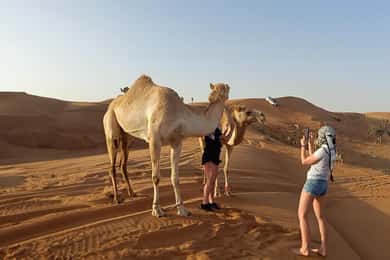 Dubai: Red Dunes Desert Safari med buffémiddag på kvällen