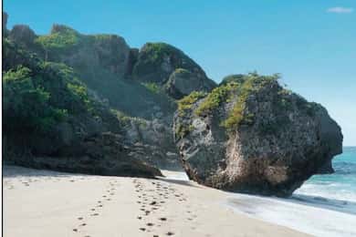 Puerto Rico: Aguadilla West Coast Beaches & Gastronomy Tour