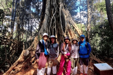 De Bangkok: Caminhada na selva do Parque Nacional Khao Yai com almoço