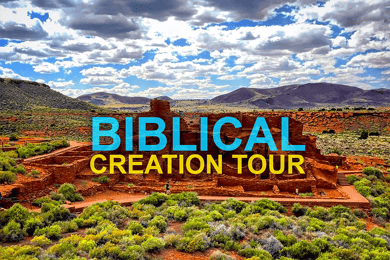 Flagstaff: Excursión Cristiana al Gran Cañón, Wupatki y Volcán