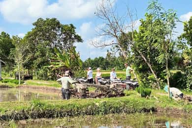 Lombok: Off-Road ATV Ride, Jungle Trek & Waterfall Escape