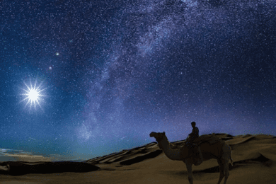 Doha: Night Desert Safari with Stargazing & Camel Ride
