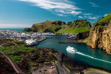 Islas Westman privadas con frailecillos y belugas (Hasta 8p)