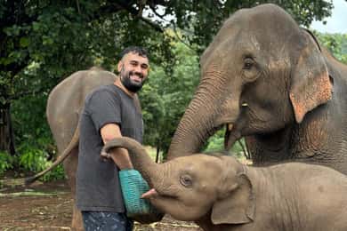 Chiang Mai: Excursión a Doi Inthanon y Santuario de Elefantes