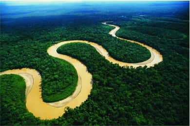 Iquitos: Amazonas regnskog 2-dagars rundtur
