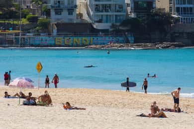 Sydney - en privat rundtur Privat rundtur till Sydneys bästa stränder