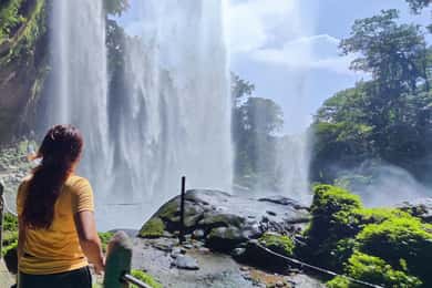 Depuis Palenque : excursion d'une journée à Misol-Ha et aux chutes d'eau d'Agua Azul
