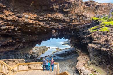 Desde Penneshaw Excursión a las Vistas y la Fauna de la Isla Canguro