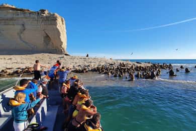 Puerto Madryn: Peninsula Valdes Tour with Whale Watching