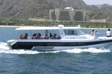 Avvistamento dei delfini a Muscat e tour panoramico della costa
