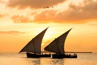 Stone Town: Sunset Dhow Cruise Experience