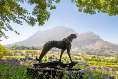 Full Day Winelands Tour With Wine Tasting from Cape Town