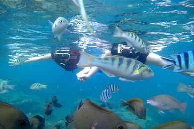 Bali: Snorkelen in de Blue Lagoon & Waterval Tour