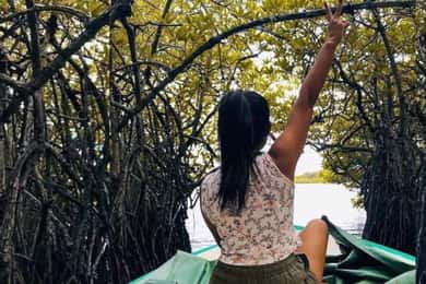 From Bentota: Exclusive Madu River Safari & Turtle Hatchery