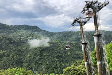 From Taipei: Pinglin Tea Culture and Maokong Guided Day Tour