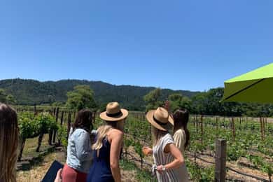 Vale de Napa: Tour particular de vinhos em SUV com até 6 pessoas