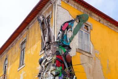 Full day tour in Porto