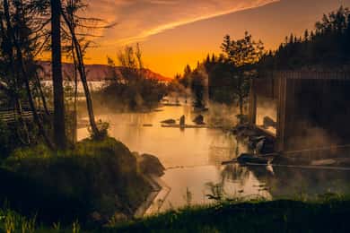 Akureyri: Valskådningstur och entré till skogslagunen