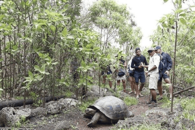 Full-Day Tour to Floreana Island & Cave of Pirates
