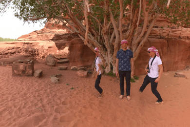 Tour privato di 3 giorni del Wadi Rum e del Mar Morto