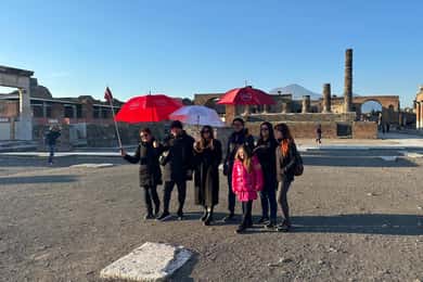 From Positano: Pompeii, Vesuvius, & Wine Tasting with Lunch